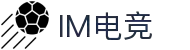 IM(股份有限公司)电竞-电子竞技平台
