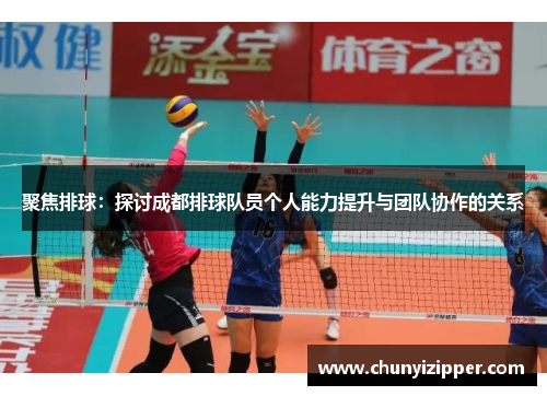 聚焦排球：探讨成都排球队员个人能力提升与团队协作的关系